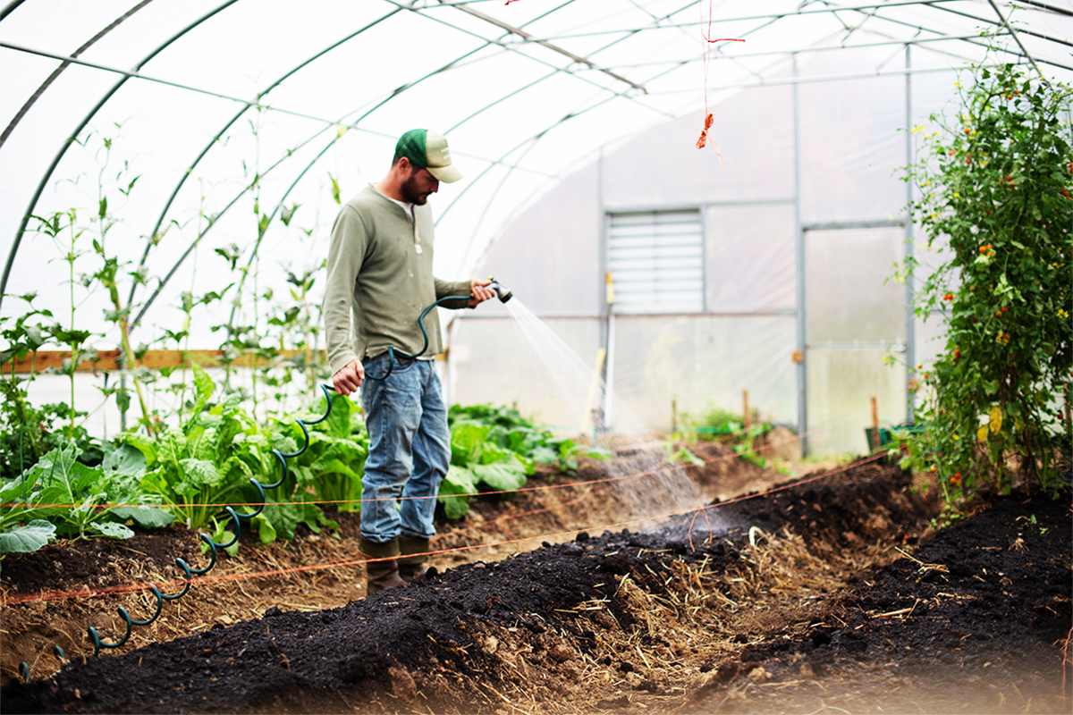 Ways Consumer Trends Impact Your Farm